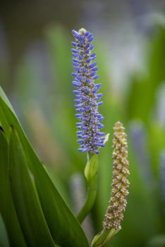 The Benefits of a Spring Financial Review for Your Business